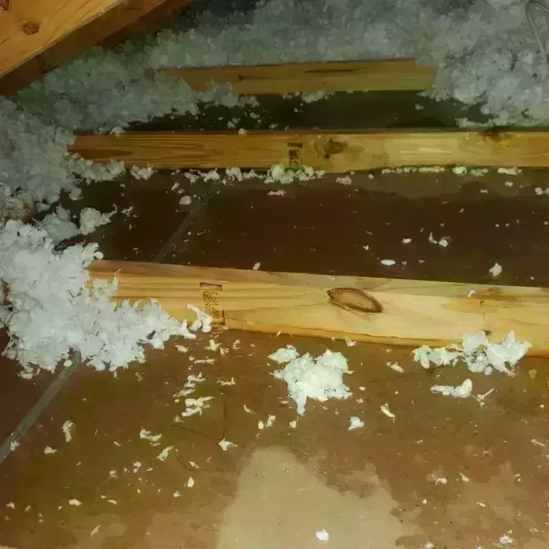 Attic Water Damage in Iron County, MO