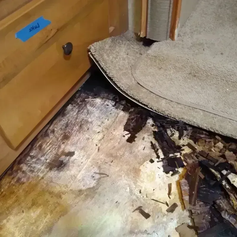 Wood Floor Water Damage in Iron County, MO